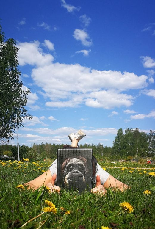apinaviini piknik