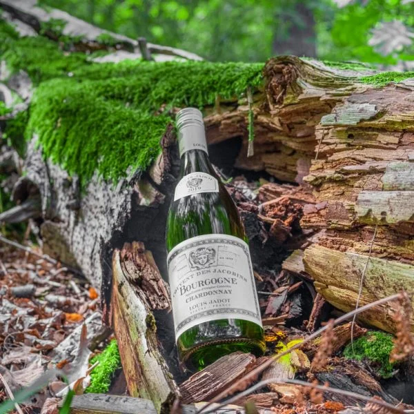 Louis jadot chardonnay