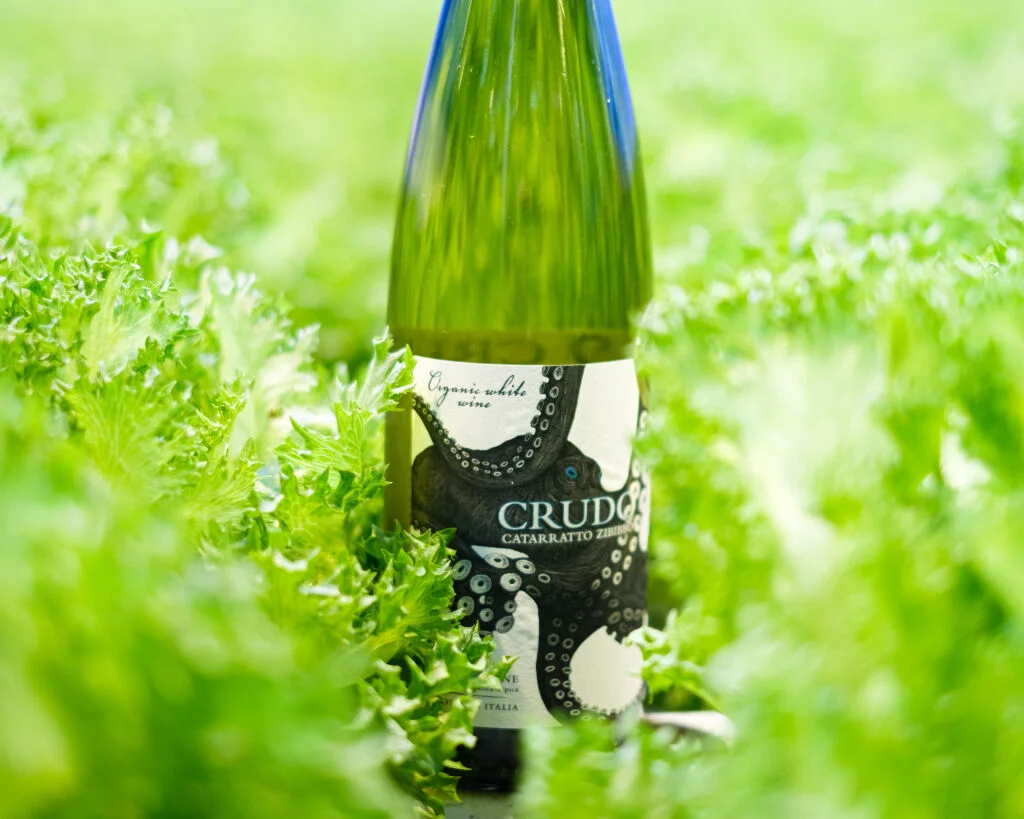 crudo catarratto-zibibbo