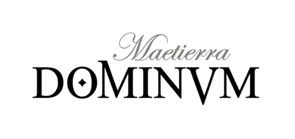 Castillo de Maetierra logo